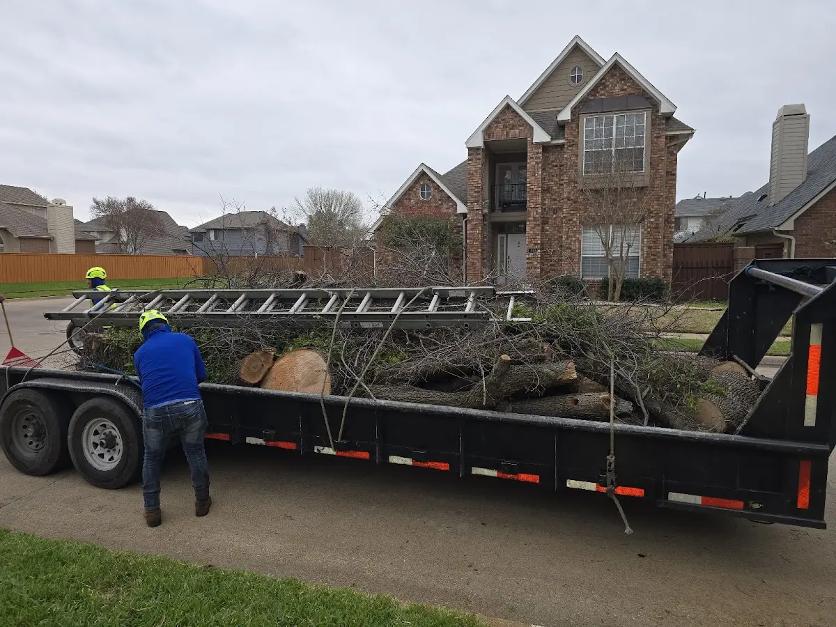 Expert Tree Pest Control with proper safety equipment in Brusly